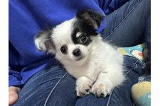 ジャムの写真3枚目