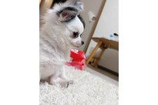 ジャムの写真4枚目