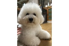 んぽちゃむの写真1