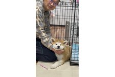 いっち(一)の写真1