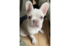 ソーニャの写真1