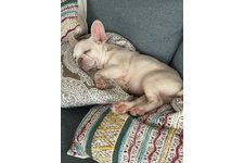 ソーニャの写真2