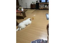 ニュアジュの写真1