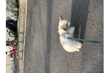 ニュアジュの写真3