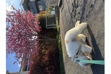 ニュアジュの写真4