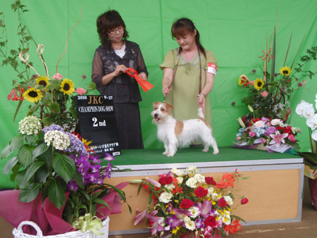 樋江井ブリーダー