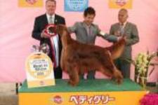 水本弘明ブリーダー