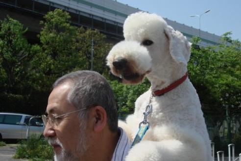 辻みどりブリーダーの詳細の1枚目