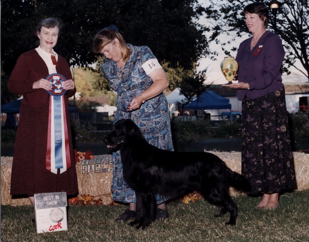 駒田ブリーダー