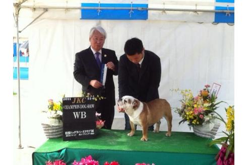 中村駿ブリーダーの詳細の1枚目