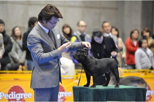 宇佐見和敏ブリーダーの詳細の1枚目