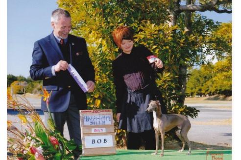 野崎有季子ブリーダーの詳細の1枚目