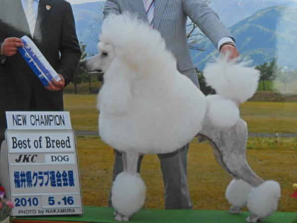 平井（青木）優子