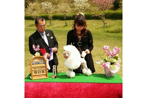 池田亜津佐ブリーダーの詳細情報