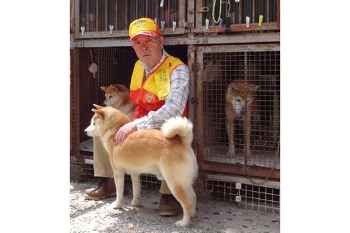 紀州犬のブリーダーを探す ブリーダーナビ