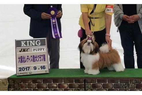 荒木麻子ブリーダーの詳細の1枚目