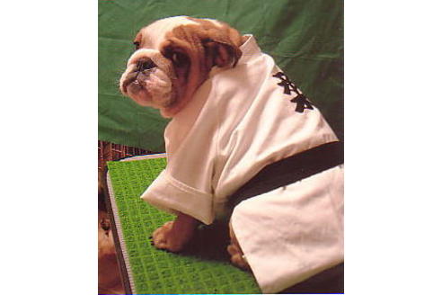 川端美奈ブリーダーの詳細の1枚目