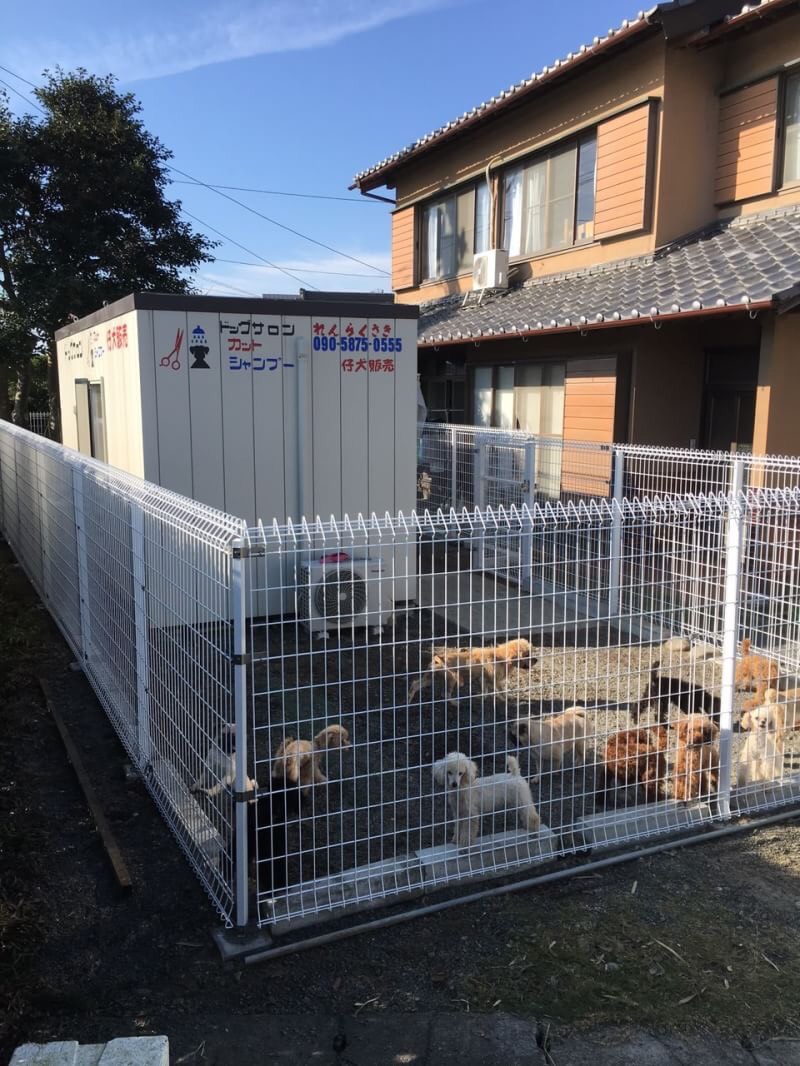 石黒ブリーダー