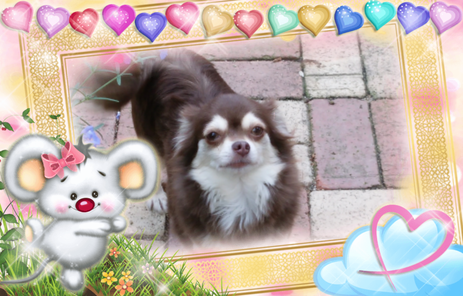 中村ブリーダー