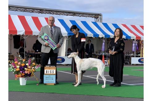 中島清子ブリーダーの詳細