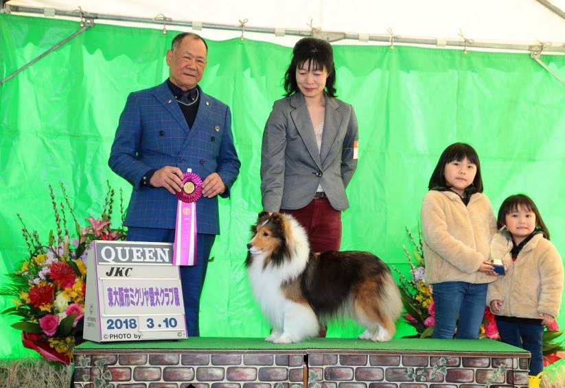 小澤ブリーダー