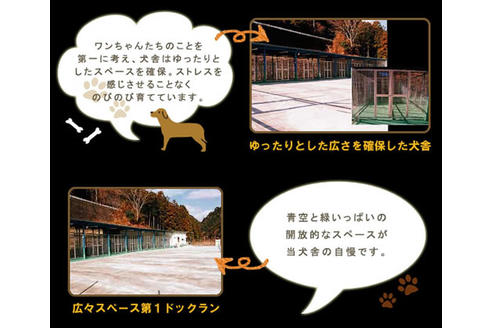 芝直子ブリーダーの詳細