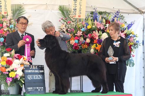 髙原弥生ブリーダーの詳細の1枚目