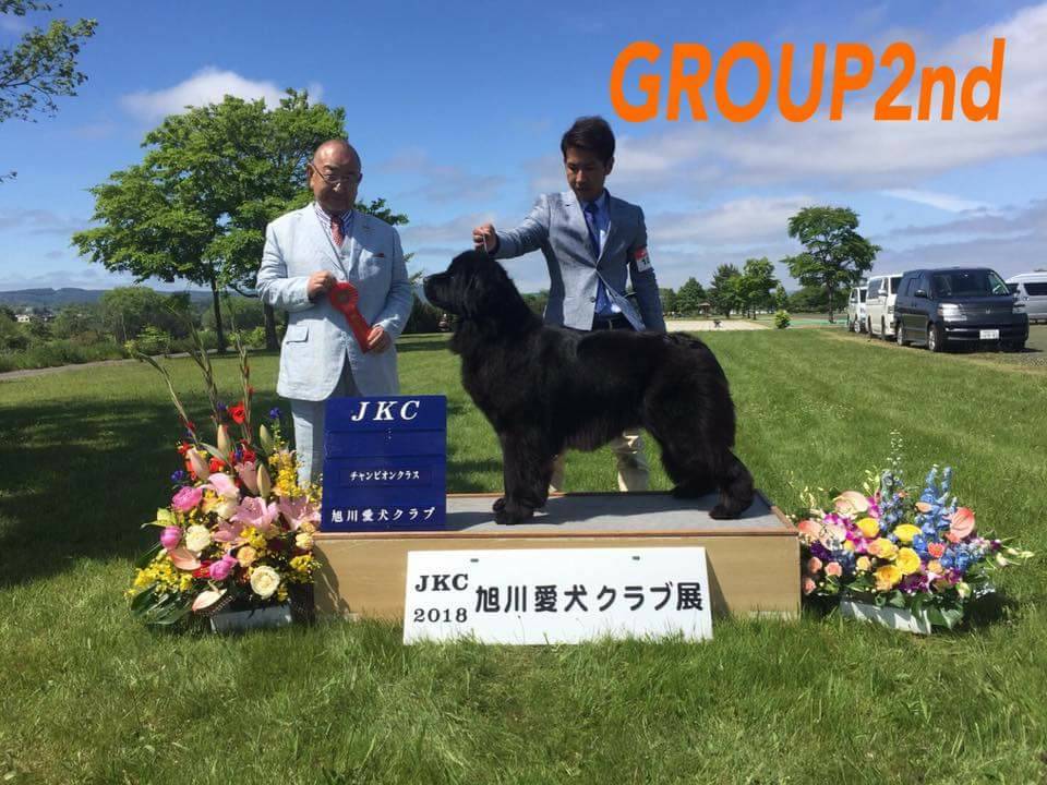 辰巳ブリーダー