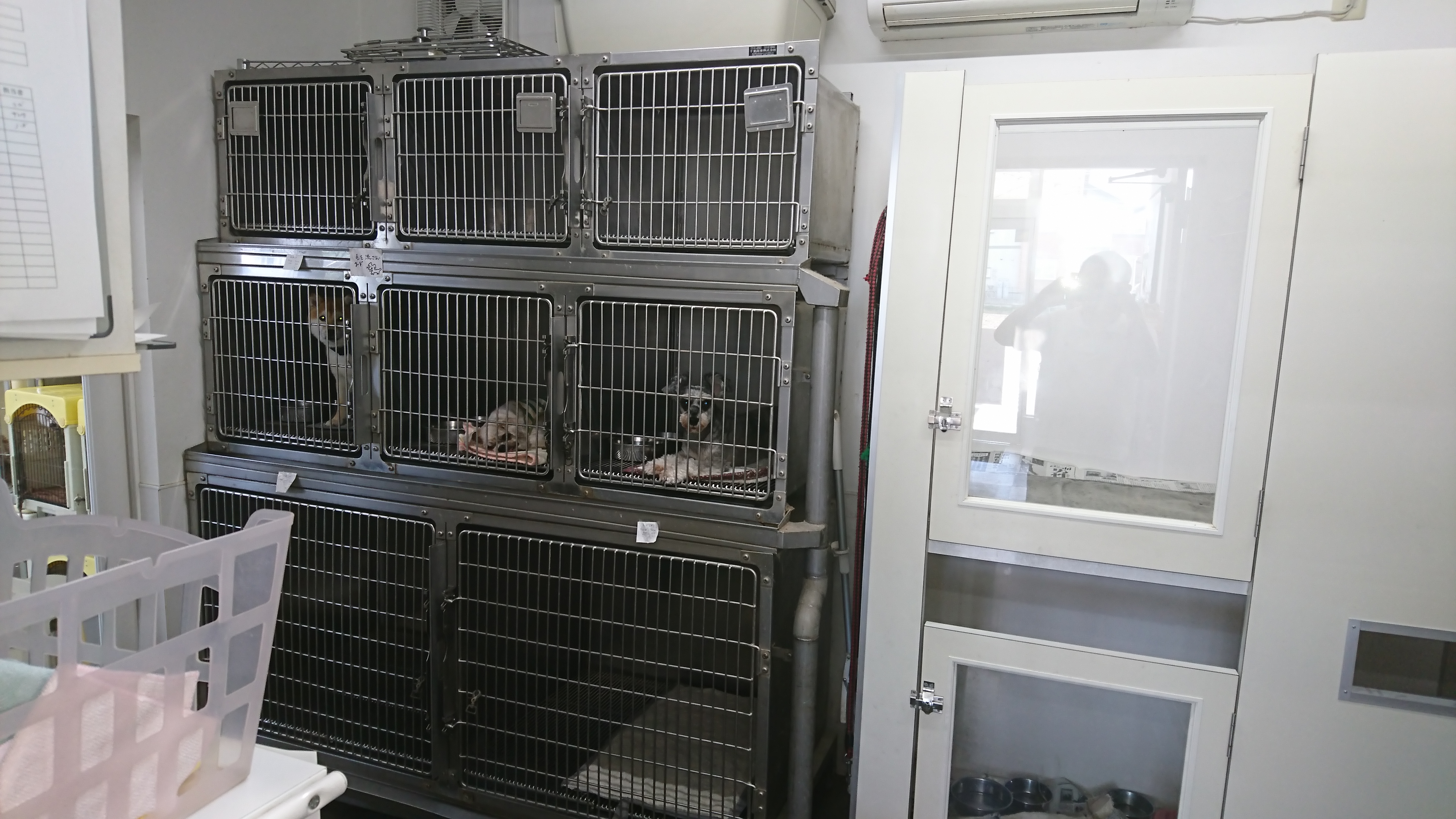 松岡ブリーダー