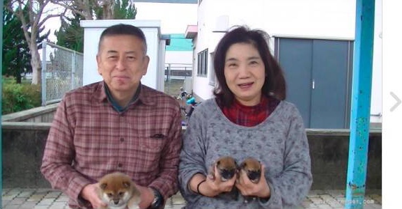 山中ブリーダー