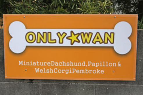 石原ブリーダー