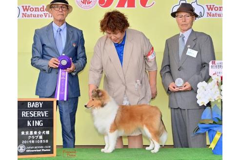 大塚まり子ブリーダー ブリーダーナビ