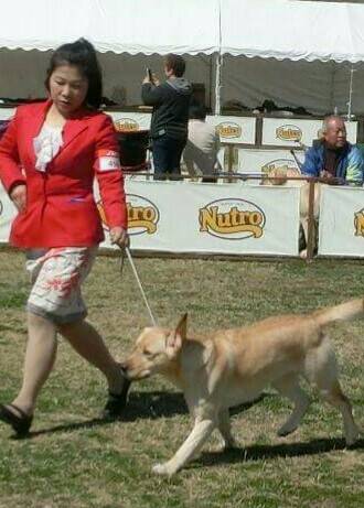 江澤ブリーダー