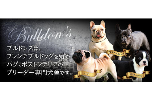 西村健次郎ブリーダーの詳細