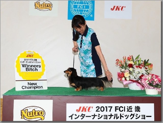 遠藤マッケーブ敦子