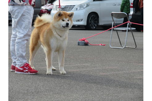 森一生ブリーダーの詳細の1枚目