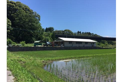 前田康孝ブリーダーの詳細