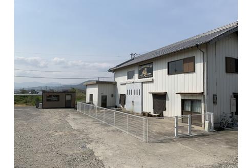 坂本千春ブリーダーの詳細