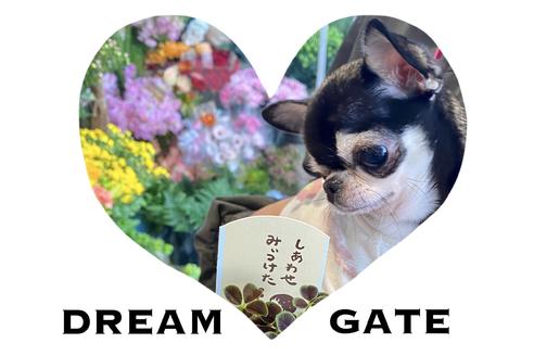 内藤めぐみ ブリーダープロフィール画像