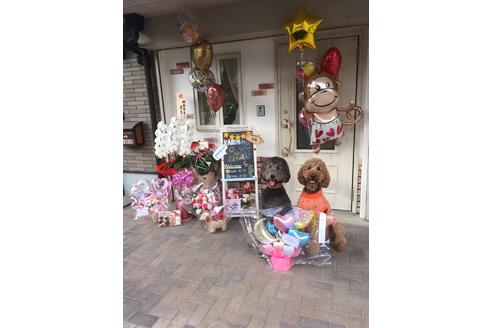 岩越綾菜ブリーダーの詳細