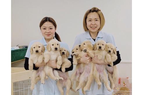 兼平愛ブリーダー ブリーダーナビ 兼平愛ブリーダー ブリーダーナビ