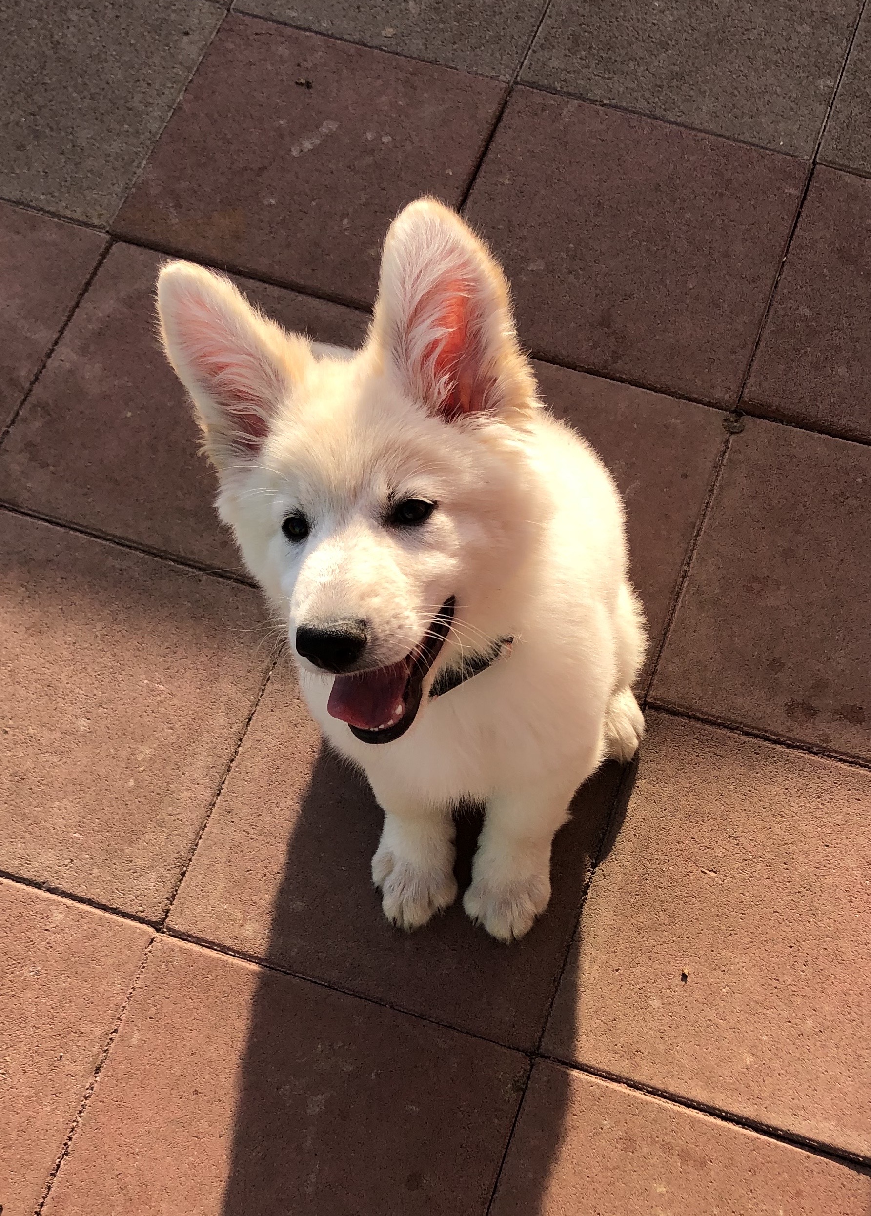 ゴメス昆野 ナンシー