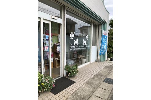 伊藤淳子ブリーダー ブリーダーナビ 伊藤淳子ブリーダー ブリーダーナビ