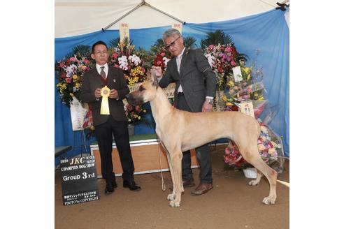 定岡静香ブリーダーの詳細