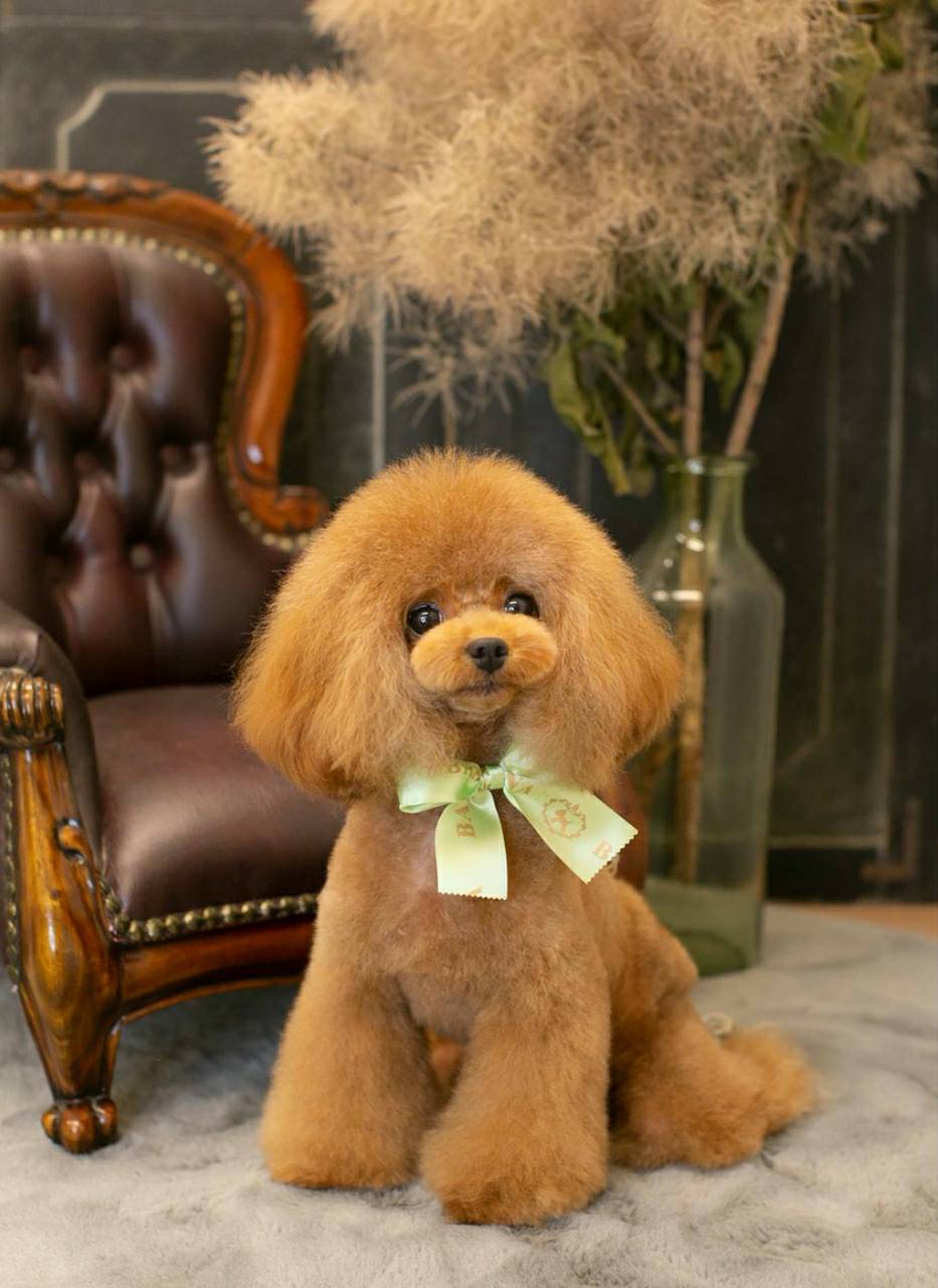 渡邉ブリーダー