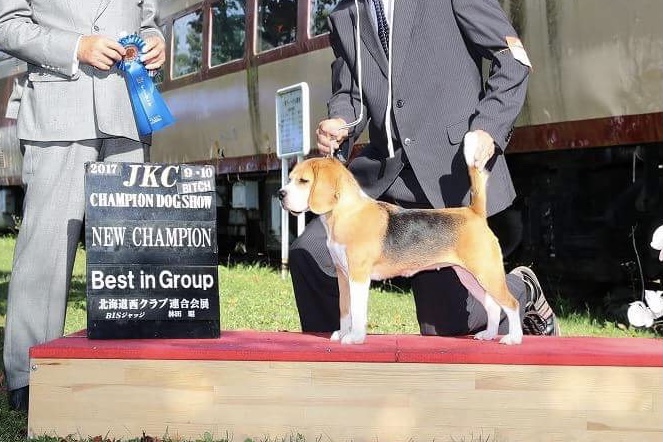 藤田ブリーダー