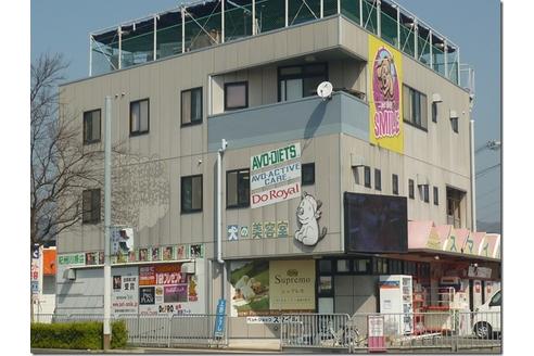 川原一泰ブリーダーの詳細