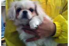 多比良郁江ブリーダー