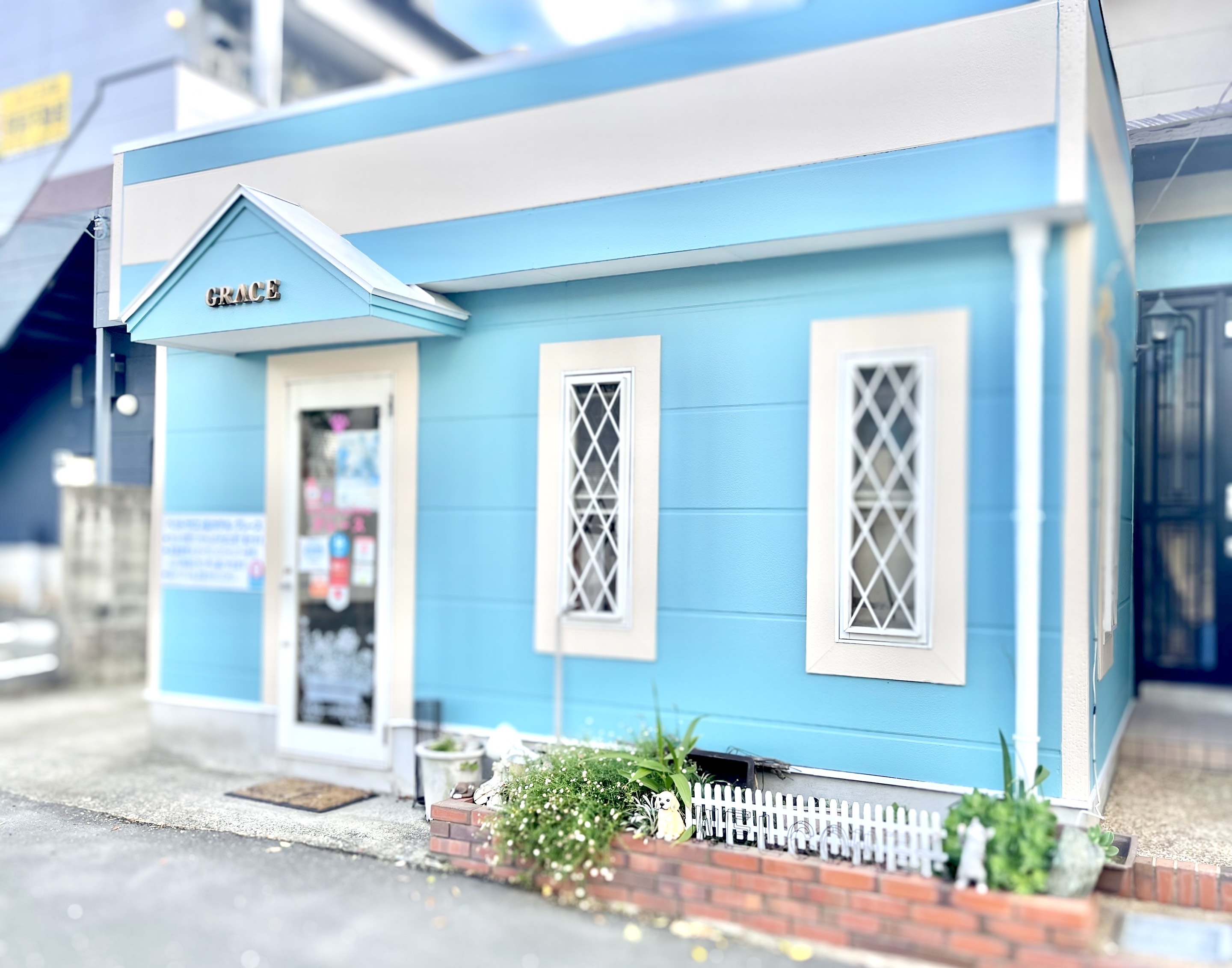 坂井ブリーダー