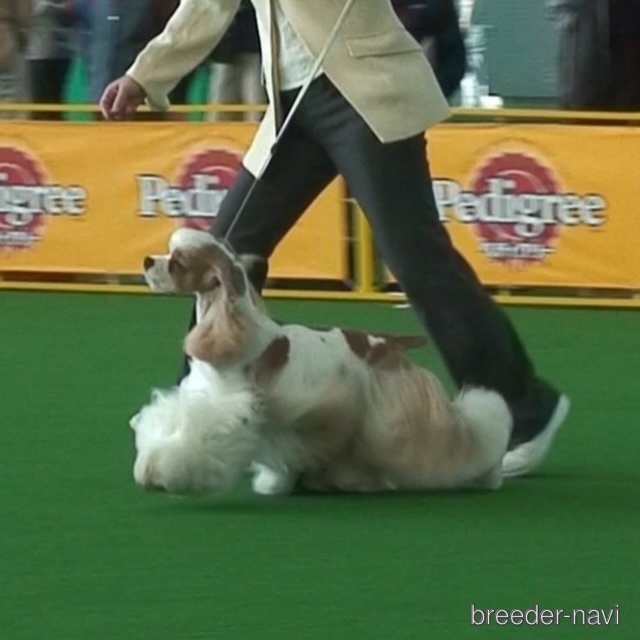 東内ブリーダー